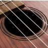 BATON ROUGE UR71-C укулеле-концерт