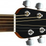 Ovation CE48P-TGE Celebrity Elite Plus Super Shallow Tiger Eye электроакустическая гитара
