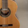 Perez 610 Cedar LTD 4/4 классическая гитара с чехлом