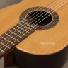 Perez 610 Cedar LTD 4/4 классическая гитара с чехлом