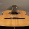 Perez 610 Cedar LTD 4/4 классическая гитара с чехлом