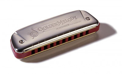 Губная гармошка диатоническая HOHNER M542056 Golden Melody E, тональность МИ