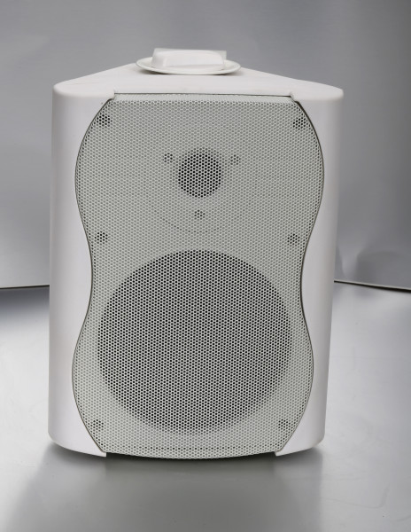 SVS Audiotechnik WS-40 White Громкоговоритель настенный