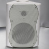 SVS Audiotechnik WS-40 White Громкоговоритель настенный