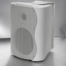 SVS Audiotechnik WS-40 White Громкоговоритель настенный