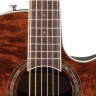 Ovation CS24P-NBM Celebrity Standard Plus Mid Cutaway Nutmeg Burled Maple электроакустическая гитара