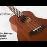 MARTIN ROMAS MR-04F Укулеле баритон с чехлом