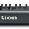 NOVATION Impulse 61 миди-клавиатура