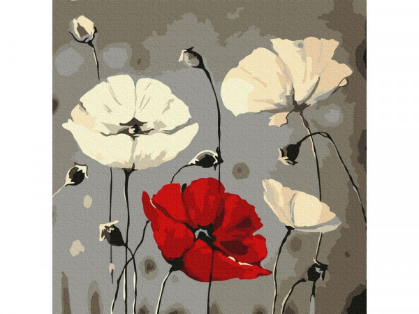 Картина по номерам 30х30 МАКИ НА ТЕМНОМ ФОНЕ (14 цветов)