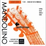 Струны для мандолины GALLI STRINGS V039 (010-.014-.023w-.032)