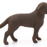 Фигурка Schleich Лабрадор, самка
