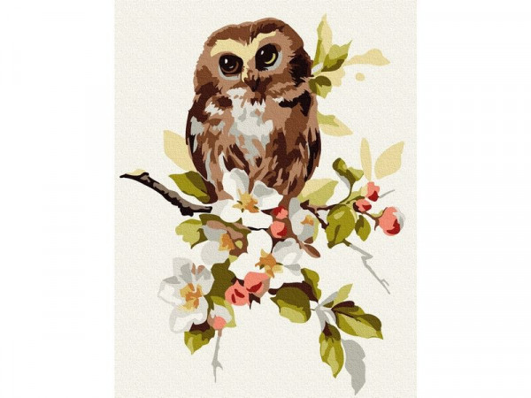 Картина по номерам 15х20 СОВЁНОК НА ЯБЛОНЕ (16 цветов)