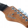 SCHECTER NICK JOHNSTON TRAD H/S/S AFST электрогитара