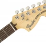 FENDER AMERICAN PERFORMER STRATOCASTER® RW HONEY BURST электрогитара с чехлом