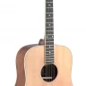JAMES NELIGAN ASY-D акустическая гитара