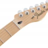 FENDER DLX NASHVILLE TELE PF FRD электрогитара с чехлом
