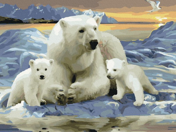 Картина по номерам с цветной схемой 40х50 БЕЛЫЕ ПОЛЯРНЫЕ МЕДВЕДИ (30 цветов)