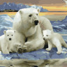 Картина по номерам с цветной схемой 40х50 БЕЛЫЕ ПОЛЯРНЫЕ МЕДВЕДИ (30 цветов)