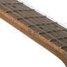 SCHECTER PT PRO TBB электрогитара