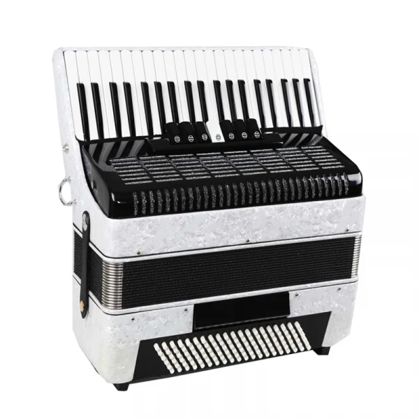 Аккордеон J.MEISTER JM41120/WH 41 клавиша 120 басов + кейс и ремни