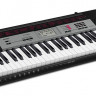 Синтезатор CASIO CTK-1500