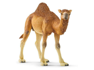 Фигурка Schleich Одногорбый верблюд