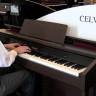 Casio Celviano AP-460BN цифровое пианино + подарок