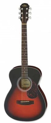 Акустическая гитара Aria ADF-01 BS