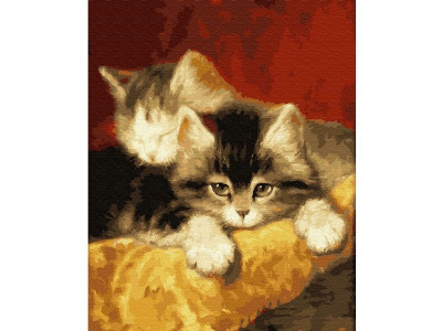 Картина по номерам 40х50 Котята (24 цвета)