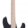 SCHECTER SUN VALLEY SUPER SHREDDER FR S SBK электрогитара