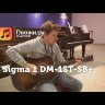 Sigma DM-1ST-SB+ акустическая гитара