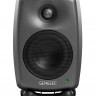 Монитор ближнего поля Genelec 8020DPM активный 2-полосный