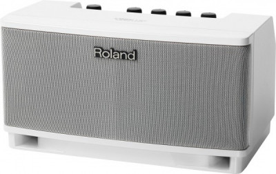 Настольный монитор ROLAND CUBE Lite MONITOR