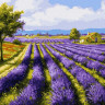 Картина по номерам 40х50 ЛАВАНДОВОЕ ПОЛЕ (27 цветов)