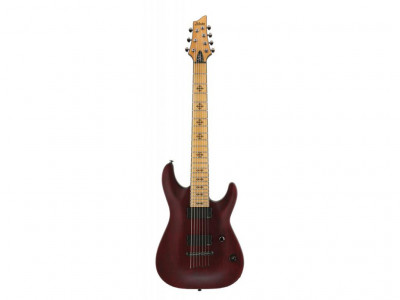 Schecter JEFF LOOMIS-7 NT VRS 7-струнная электрогитара