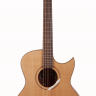BATON ROUGE X6C AC-AF акустическая гитара