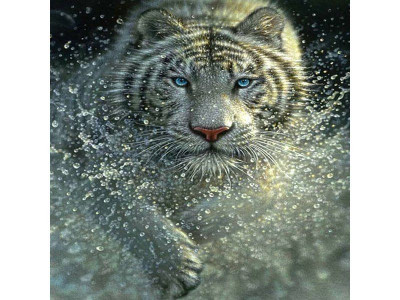 Картина мозаикой 30х30 ТИГР (квадрат) (19 цветов)