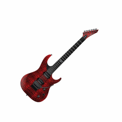 WASHBURN PXS10FRQTR электрогитара