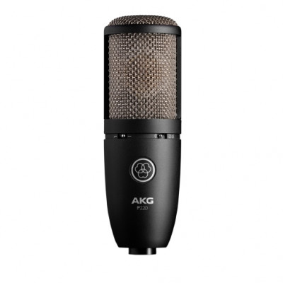 Микрофон конденсаторный AKG P220 - кардиоидный, мембрана 1", в комплекте "паук", кейс