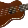 FENDER VENICE SOPRANO UKE NAT WN укулеле-сопрано