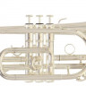 Корнет Roy Benson CR-202S Bb