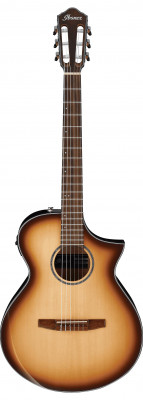 IBANEZ AEWC300N-NNB AEWC электроакустическая гитара