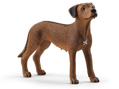 Фигурка Schleich Родезийский риджбек