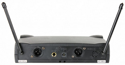 Микрофонная система PROAUDIO DWS-204HT