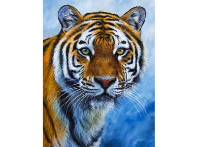 Набор юного художника 20х30 Глаза тигра (15 цветов)