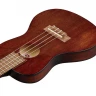 BATON ROUGE UR101-CT укулеле-концерт