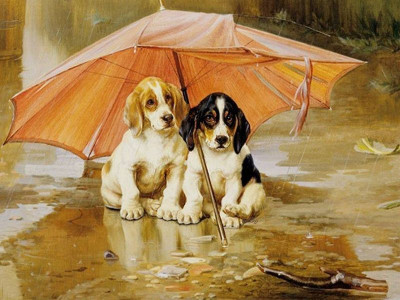 Картина по номерам 40х50 Непогода (21 цвет)