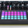 NOVATION Circuit MonoStation парафонический аналоговый синтезатор