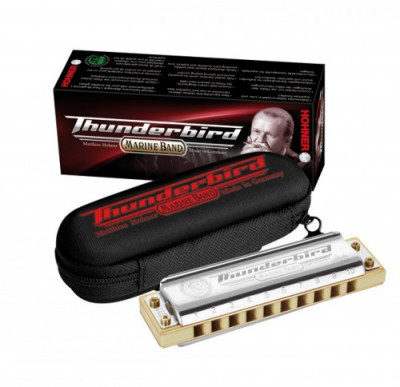 Губная гармошка диатоническая HOHNER Marine Band Thunderbird Low A (M201173) без уроков