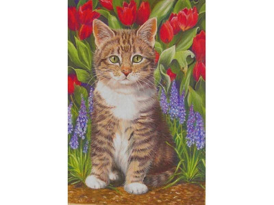 Набор юного художника 20х30 КОТЁНОК В САДУ 15 цветов)